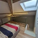 Luxury Duplex 50
